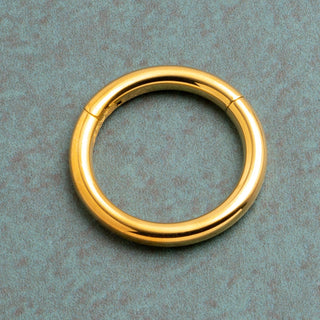 24k Gold PVD Titanium Hinged Segment Ring