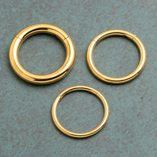 24k Gold PVD Titanium Hinged Segment Ring