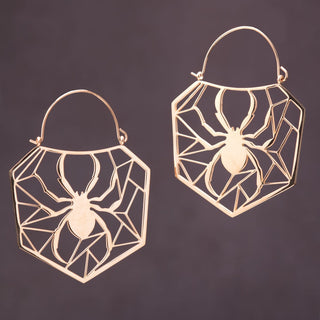 Stainless Steel Spider and Web Hangers